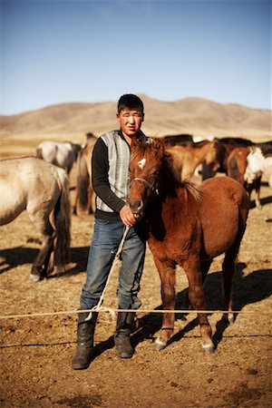 Man on Ranch with Horses, Mongolia Stock Photo - Rights-Managed, Code: 700-02156822