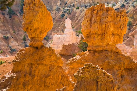 Bryce Canyon National Park, Utah, USA Stock Photo - Rights-Managed, Code: 700-02175807