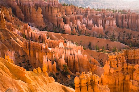 parc national de bryce canyon - Parc National de Bryce Canyon, Utah, USA Photographie de stock - Rights-Managed, Code: 700-02175818