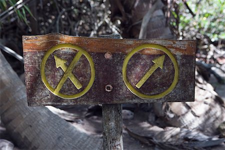 strassengabelung - Direction Sign in Forest, Tulum, Mexico Foto de stock - Con derechos protegidos, Código: 700-02198241