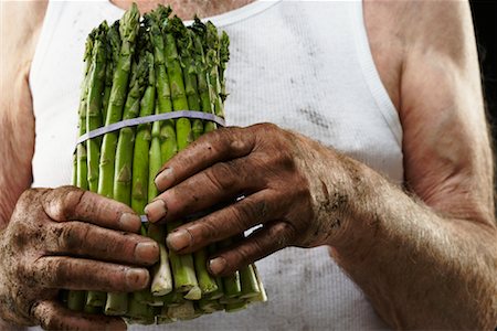 senior man gardener - Man Holding Aspargus Stock Photo - Rights-Managed, Code: 700-02199954