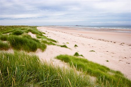 Plage, Ross Back Sands, Lindisfarne, Northumberland, Angleterre Photographie de stock - Rights-Managed, Code: 700-02201037