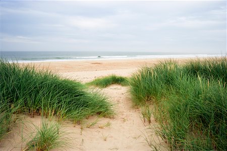 Beach, Ross Back Sands, Lindisfarne, Northumberland, England Foto de stock - Con derechos protegidos, Código: 700-02201040