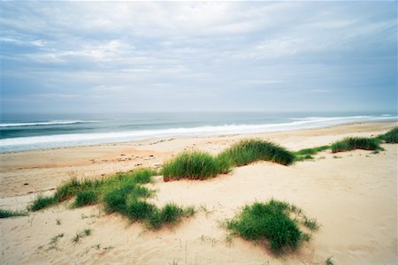 Beach, Ross Back Sands, Lindisfarne, Northumberland, England Foto de stock - Direito Controlado, Número: 700-02201041