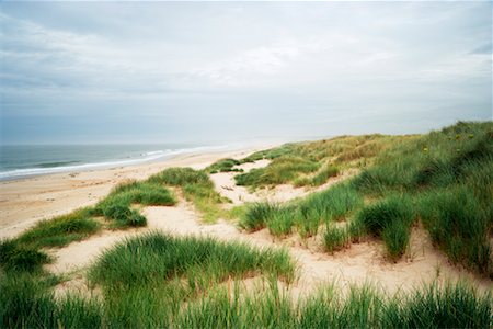 Beach, Ross Back Sands, Lindisfarne, Northumberland, England Foto de stock - Direito Controlado, Número: 700-02201042