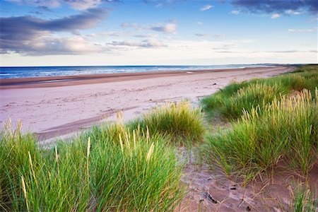 Marram Grass on Beach at Dusk, St Cyrus National Nature Reserve, Scotland Stock Photo - Rights-Managed, Code: 700-02217222