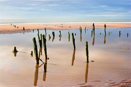 pozza di marea - Wooden Stumps on Sea Shore, St Cyrus National Nature Reserve, Scotland Fotografie stock - Rights-Managed, Codice: 700-02217239