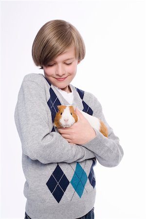 pet rodent - Boy with Guinea Pig Stock Photo - Rights-Managed, Code: 700-02217479