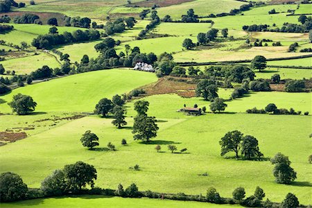 simsearch:6119-09161943,k - Overview of Farmland, Lake District, Cumbria, England Foto de stock - Con derechos protegidos, Código: 700-02244783