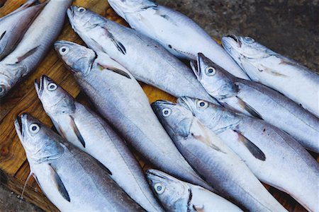 essaouira - Fish at Market, Essaouira, Morocco Stock Photo - Rights-Managed, Code: 700-02245151