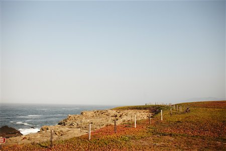 pacific coast highway - Overview of Headland, California, USA Foto de stock - Con derechos protegidos, Código: 700-02265361