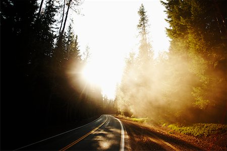 redwood - Paved Road through Forest, Pacific Coast Highway, California, USA Stock Photo - Rights-Managed, Code: 700-02265391