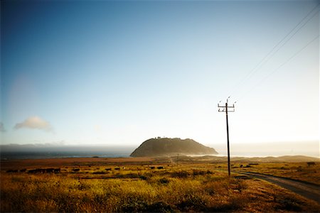 power lines country - Country Road through Fields Stock Photo - Rights-Managed, Code: 700-02265410