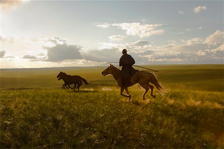 Horseman Rounding Up Horses, Inner Mongolia, China Foto de stock - Con derechos protegidos, Código: 700-02265726