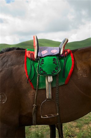 Gros plan de selle, le Naadam Festival, Xiwuzhumuqinqi de cheval, Mongolie intérieure, Chine Photographie de stock - Rights-Managed, Code: 700-02265743