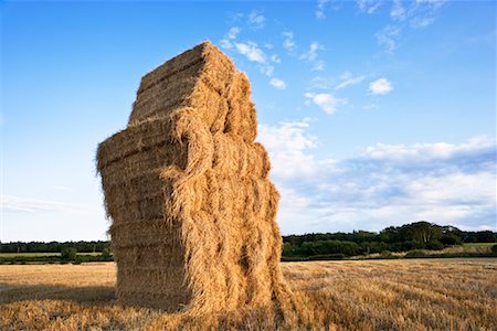 Tall Stack of Hay Bales in Field, East Lothian, Scotland Foto de stock - Direito Controlado, Número: 700-02260066