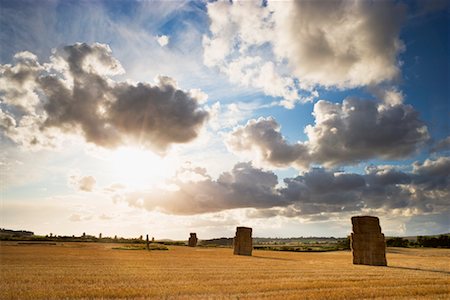 field crop sunrise nobody - Stacks of Hay Bales in Field, East Lothian, Scotland Stock Photo - Rights-Managed, Code: 700-02260063