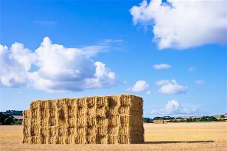 farm stacks hay nobody - Stack of Hay Bales in Field, East Lothian, Scotland Stock Photo - Rights-Managed, Code: 700-02260077