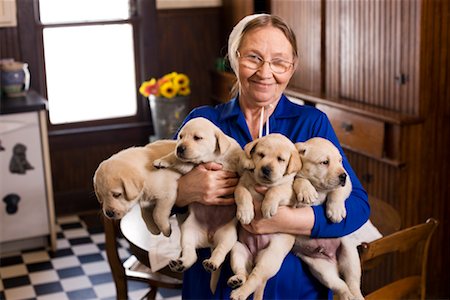 senior women kitchen - Portrait of Amish Woman Holding Puppies Stock Photo - Rights-Managed, Code: 700-02260102