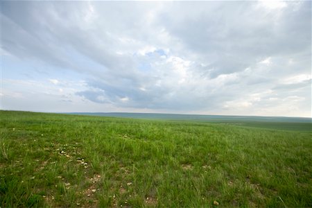 plaines - Prairies, la Mongolie intérieure, Chine Photographie de stock - Rights-Managed, Code: 700-02263879