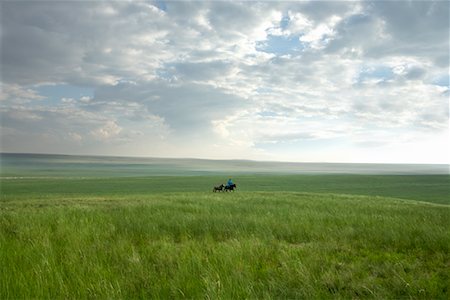 simsearch:700-02263873,k - Horseman Leading Horses through Field, Inner Mongolia, China Stock Photo - Rights-Managed, Code: 700-02263880