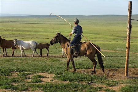 ranchers - Horsemen Rounding Up Horses, Inner Mongolia, China Stock Photo - Rights-Managed, Code: 700-02288310