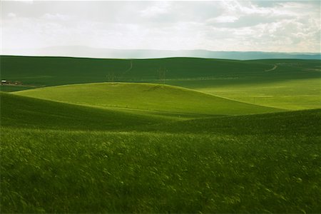 simsearch:633-01273732,k - Grasslands, Inner Mongolia, China Stock Photo - Rights-Managed, Code: 700-02288322