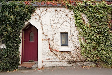 door in wall entrance - Vine-Covered Home, Galway, Galway County, Ireland Stock Photo - Rights-Managed, Code: 700-02289015