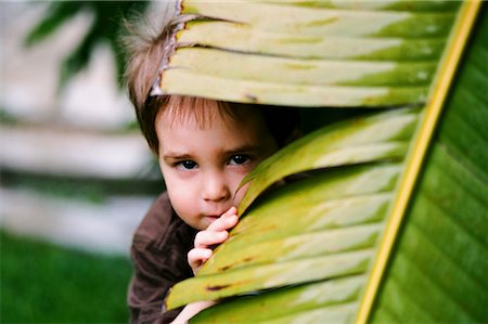 Portrait of Little Boy Hiding Behind Palm Leaf, Costa Mesa, Orange County, California, USA Stock Photo - Rights-Managed, Code: 700-02289214