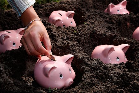 fiança - Piggy Banks Planted in Dirt Foto de stock - Direito Controlado, Número: 700-02289309