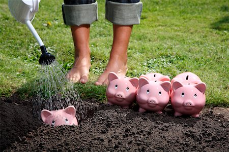 Woman Watering Piggy Banks Foto de stock - Con derechos protegidos, Código: 700-02289302