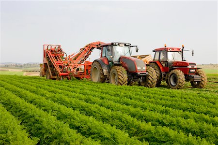 Tractors on Farm Foto de stock - Con derechos protegidos, Código: 700-02289359