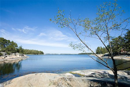 stockholm archipelago - Finnhamn, archipel de Stockholm, Stockholm, Suède Photographie de stock - Rights-Managed, Code: 700-02289501