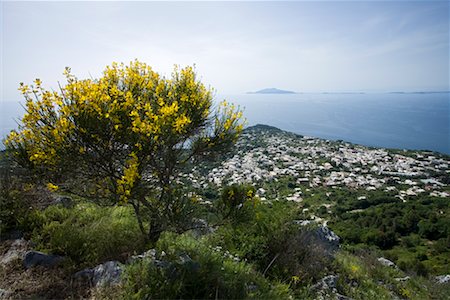 View of Anacapri From Monte Solaro, Gulf of Naples, Capri, Campania, Naples, Italy Stock Photo - Rights-Managed, Code: 700-02289535