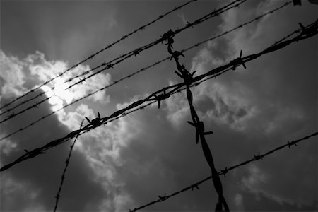 Barbed Wire Fence, Dachau, Germany Foto de stock - Con derechos protegidos, Código: 700-02315038