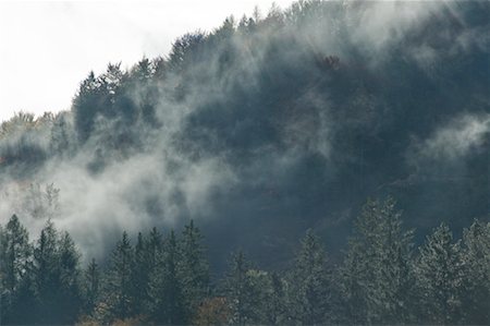 salzburg-umgebung - Brouillard sur la forêt et les collines, Hof bei Salzburg, Salzburg-Umgebung, Land de Salzbourg, Autriche Photographie de stock - Rights-Managed, Code: 700-02315108