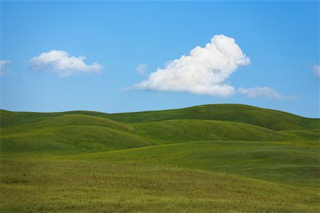 simsearch:700-01993319,k - Grasslands, Inner Mongolia, China Stock Photo - Rights-Managed, Code: 700-02346405