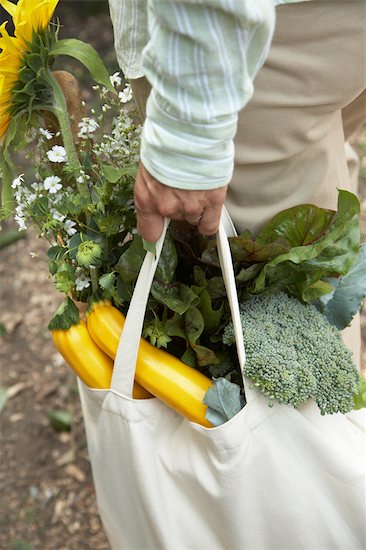 Woman Carrying Cloth Bag of Groceries Stock Photo - Premium Rights-Managed, Artist: Peter Reali, Image code: 700-02347770