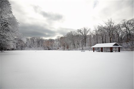 philip rostron - Winter Snow Scene, Toronto, Ontario, Canada Foto de stock - Direito Controlado, Número: 700-02347895