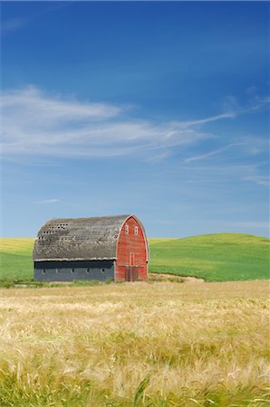 Ancienne grange en champ, Palouse, état de Washington, USA Photographie de stock - Rights-Managed, Code: 700-02347941