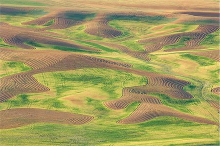 simsearch:700-00603450,k - Aerial of Fields, Palouse, Whitman County, Washington State, USA Stock Photo - Rights-Managed, Code: 700-02347956