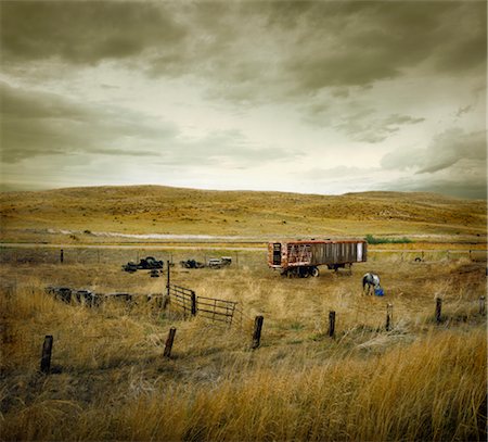 Cheval en champ, Sand Hills, Nebraska, Etats-Unis Photographie de stock - Rights-Managed, Code: 700-02348006