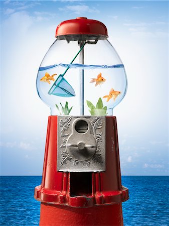 en peligro de extinción - Goldfish in Gumball Machine by Ocean Foto de stock - Con derechos protegidos, Código: 700-02377616