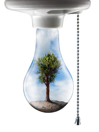 Arbre en ampoule Photographie de stock - Rights-Managed, Code: 700-02377610