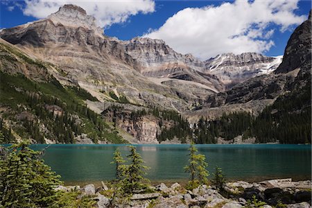 Lac o ' Hara et montagnes, le Parc National Yoho, en Colombie-Britannique, Canada Photographie de stock - Rights-Managed, Code: 700-02377996