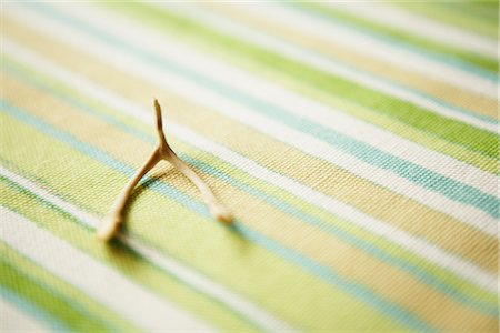 Close-up of Wishbone Foto de stock - Con derechos protegidos, Código: 700-02378027