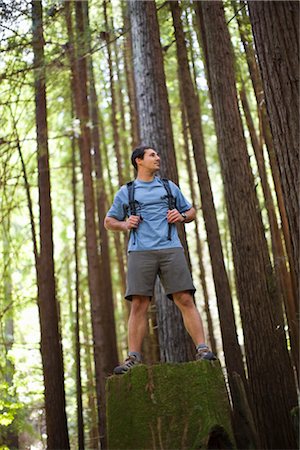 santa cruz - Hiker on Tree Trunk, Santa Cruz, California, USA Stock Photo - Rights-Managed, Code: 700-02386008