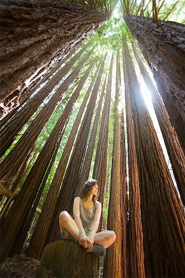 Woman Sitting on Tree Trunk in Forest, Santa Cruz, California, USA Stock Photo - Premium Rights-Managed, Artist: Ty Milford, Image code: 700-02386014