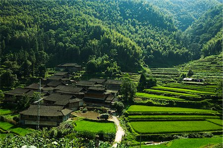 simsearch:700-02386265,k - Rice Terraces, Guilin, Guangxi Autonomous Region, China Foto de stock - Con derechos protegidos, Código: 700-02386254
