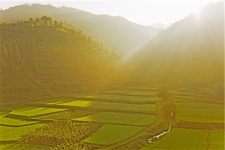 Rice Terraces, Guilin, Guangxi Autonomous Region, China Foto de stock - Con derechos protegidos, Código: 700-02386256